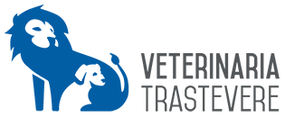 Veterinaria Trastevere